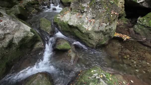 Вода течет между камнями в дикой природе, небольшая горная река — стоковое видео