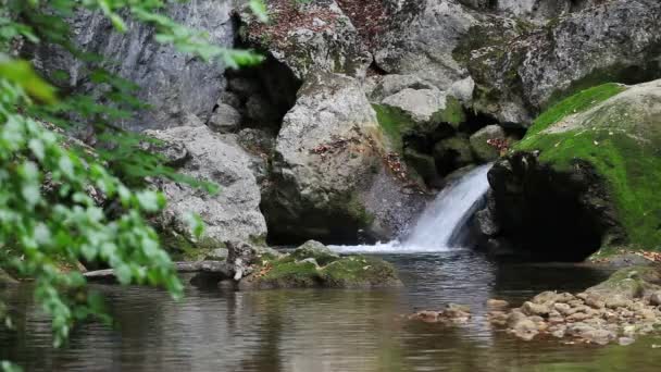 野生の自然、ラウンジ ビデオの小さな滝 — ストック動画