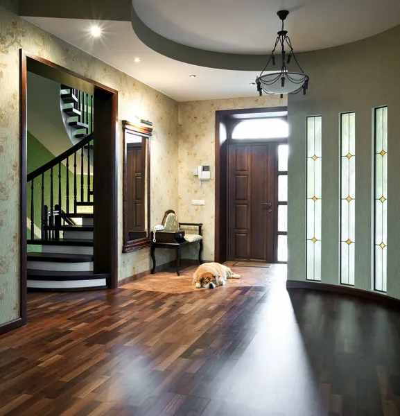 Interior of entrance hall with sleeping dog — Stock Photo, Image