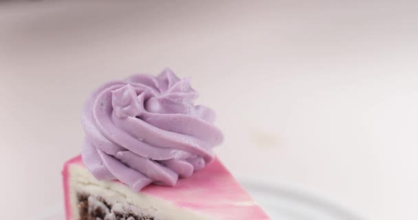 Un morceau de gâteau au chocolat avec de la crème sur un fond blanc est décoré avec des myrtilles. Gros plan. — Video