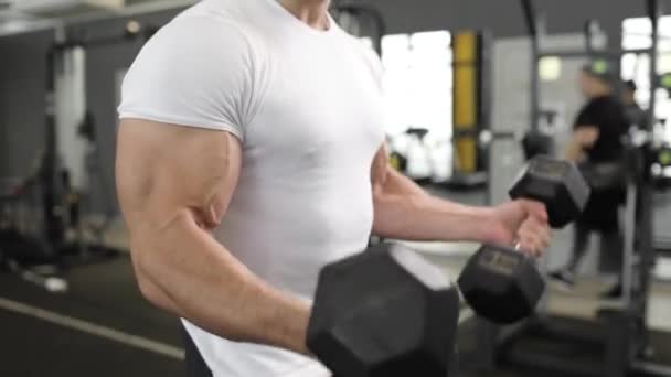Młody kulturysta w białej koszulce podnoszący ciężkie hantle czarne hantle do bicepsów na siłowni. Zbliżenie. — Wideo stockowe
