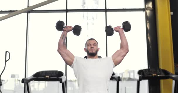Portrait of a young athletic muscular man lifting heavy weights black dumbbells while concentrating on work alone in front of a large window. — Vídeos de Stock