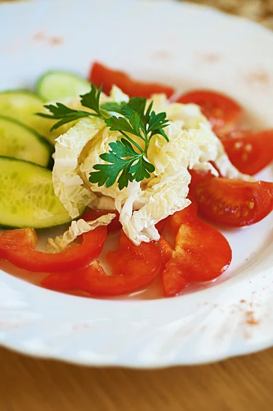 西红柿、 黄瓜、 大白菜和香菜 — 图库照片