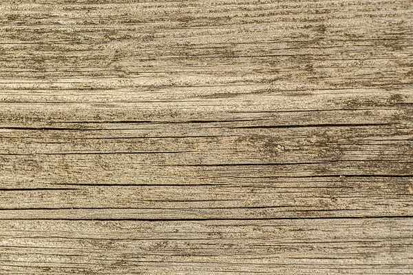 Tavola di legno primo piano — Foto Stock