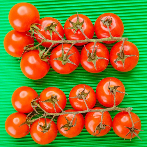 红色西红柿的分支 — 图库照片