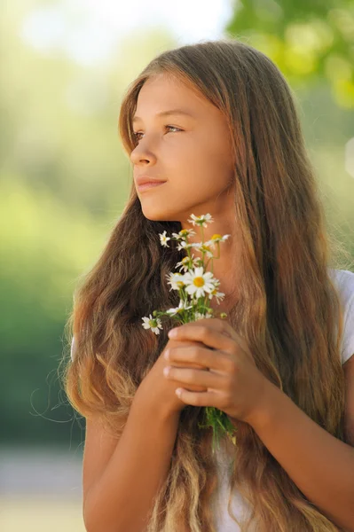 Krásná dívka s camomiles v rukou — Stock fotografie