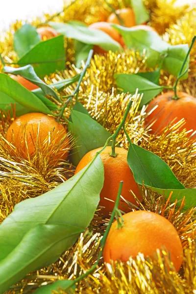 Tangerinas em ornamentos — Fotografia de Stock