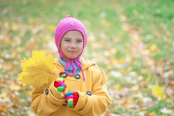 Menina no casaco amarelo coleta folhas de bordo amarelas — Fotografia de Stock