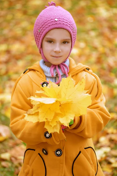 Niña con abrigo amarillo recoge hojas de arce amarillo —  Fotos de Stock