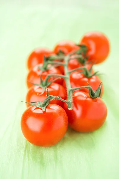 Είναι γειωμένο του κόκκινες ντομάτες — Φωτογραφία Αρχείου