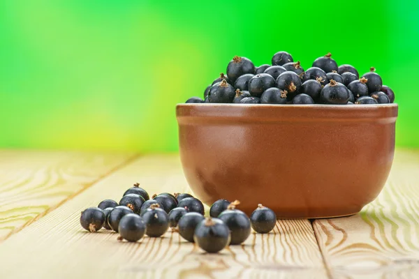 Berries black currants — Stock Photo, Image