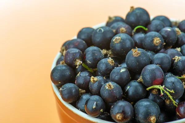 Berries black currants — Stock Photo, Image