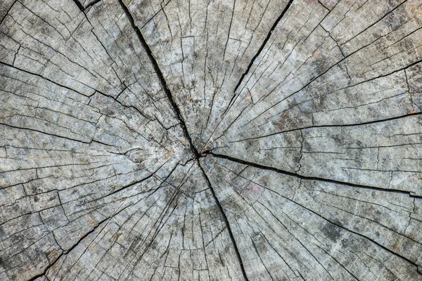 Wyciąć Stare drewno dowcip — Zdjęcie stockowe