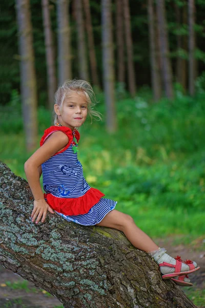 Маленькая девочка забралась на дерево — стоковое фото
