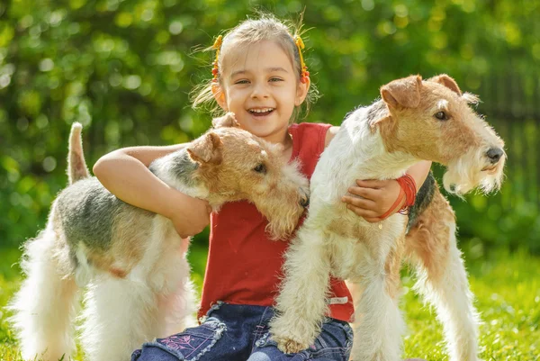 Chica joven y dos terriers zorro — Foto de Stock