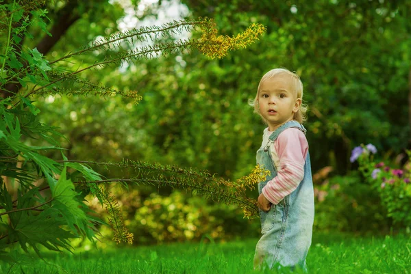 Portre güzel bebek — Stok fotoğraf