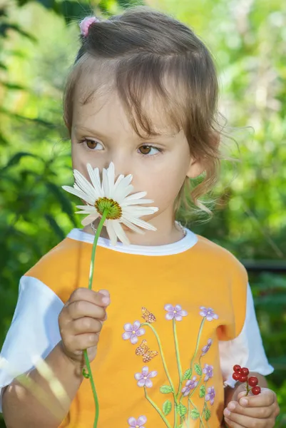 Liten flicka luktar kamomill — Stockfoto