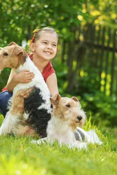 Jeune fille et deux renards terriers — Photo