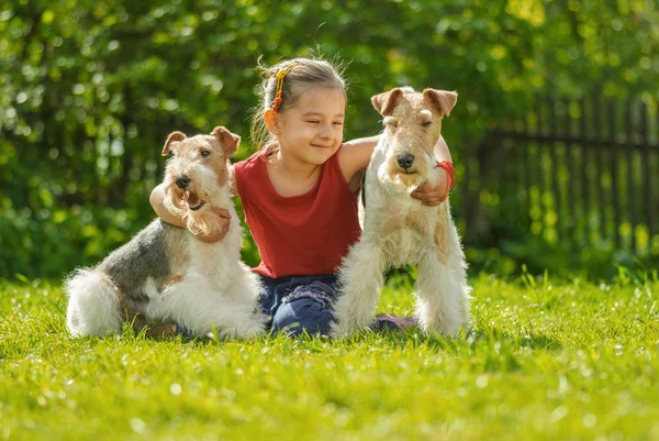 Chica joven y dos terriers zorro — Foto de Stock