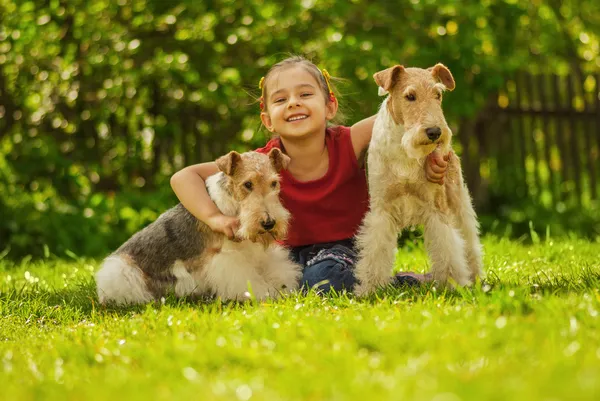 Chica joven y dos terriers zorro — Foto de Stock