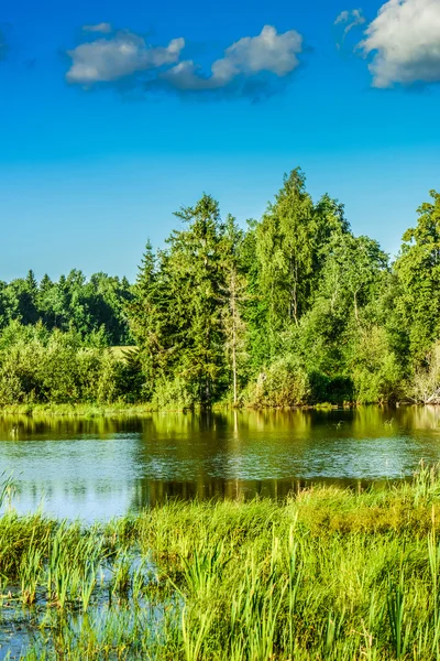 Sommerlandskab - Stock-foto