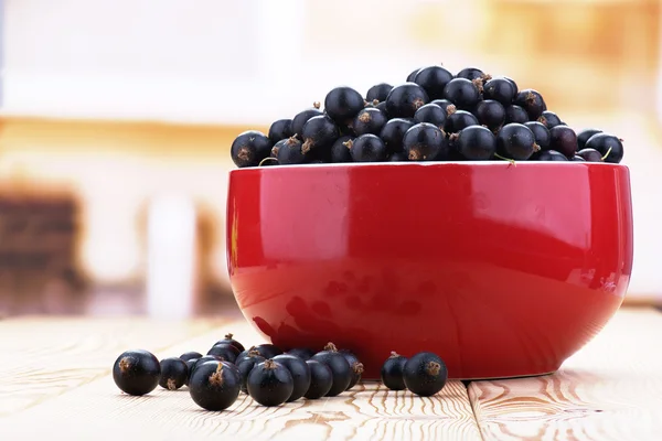 Berries black currants — Stock Photo, Image