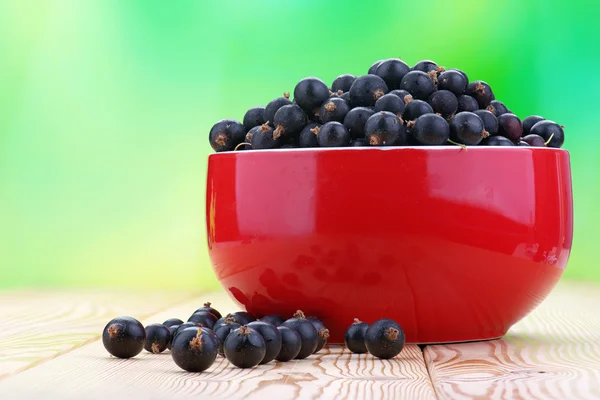 Berries black currants — Stock Photo, Image