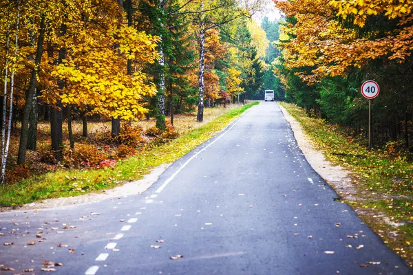 Weg door herfst reserve — Stockfoto