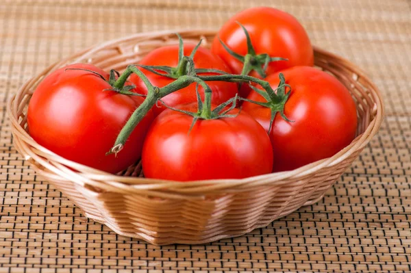 Tomater på gren — Stockfoto