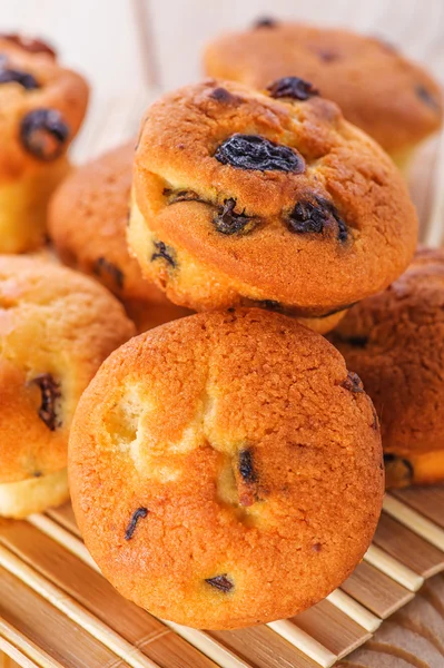 Cupcake with raisins — Stock Photo, Image