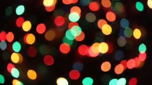 Φώτα χριστουγεννιάτικων δέντρων — Αρχείο Βίντεο