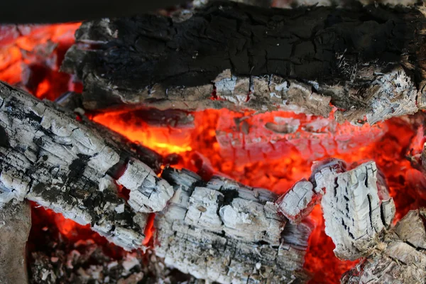 Ζέστη — Φωτογραφία Αρχείου