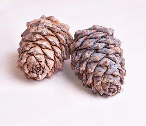 Cones de cedro — Fotografia de Stock