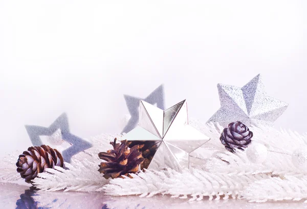 Silberne Weihnachtsdekoration mit Tannenzweig — Stockfoto