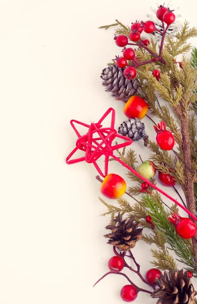 Bordure de Noël avec aubépine, sapin et pommes sauvages — Photo