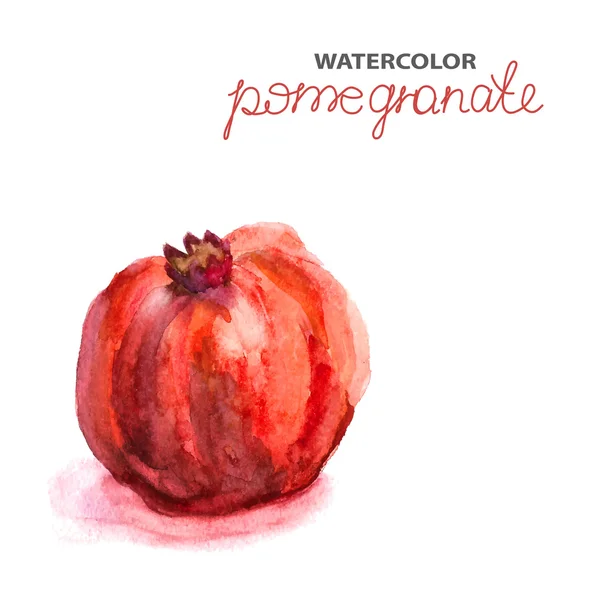 Background with watercolor pomegranate — Stock Vector