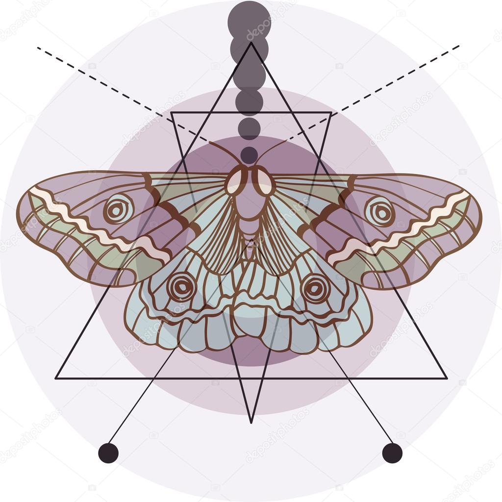 Hipster old fashion background with moth