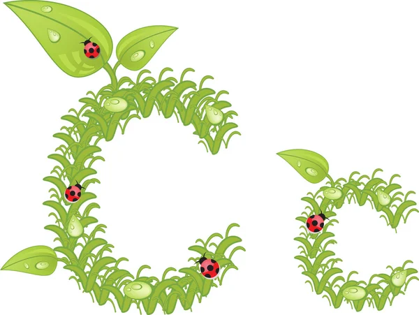 Alphabet écologique, lettre florale verte avec coccinelle, vecteur — Image vectorielle