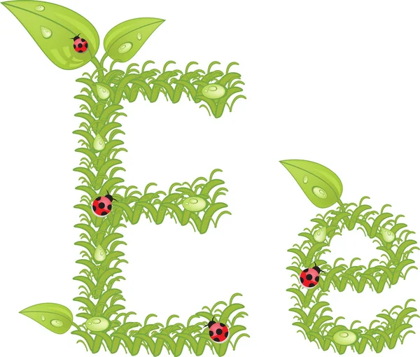 Alphabet écologique, lettre florale verte avec coccinelle, vecteur — Image vectorielle