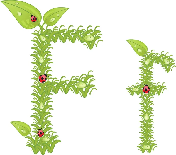 Alfabeto ecologico, lettera floreale verde con coccinella, vettore — Vettoriale Stock