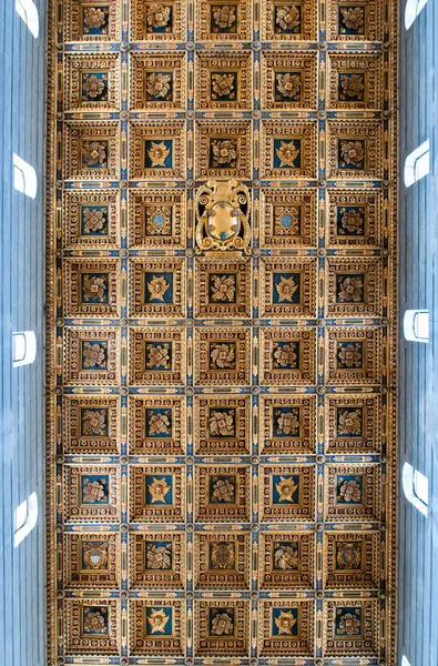 Techo en la sala de la Catedral de Pisa. Piazza dei miracoli, Pisa, Italia . — Foto de Stock