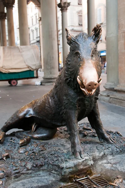 Il porcellino (italienisch "Ferkel") ist der lokale florentinische Spitzname für den Bronzefontänen eines Wildschweins in Florenz, Toskana, Italien. — Stockfoto