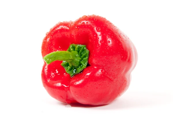Rode paprika met water druppels geïsoleerd op witte achtergrond — Stockfoto