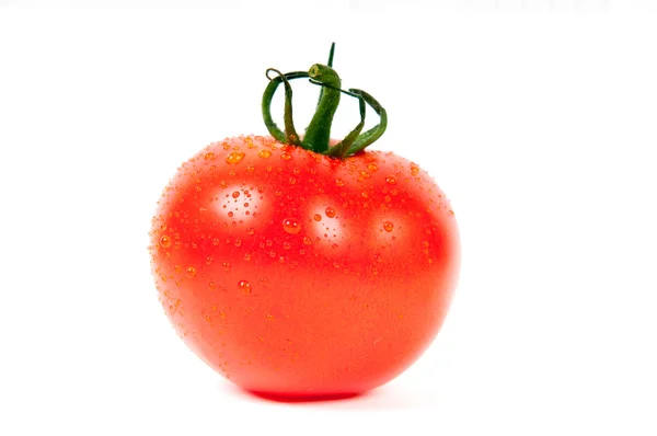 Świeży pomidor czerwony z wody spadnie na białym tle na białym tle — Zdjęcie stockowe