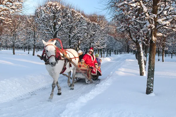 Winter holiday-walk in carriage with white horse — Stock Photo, Image