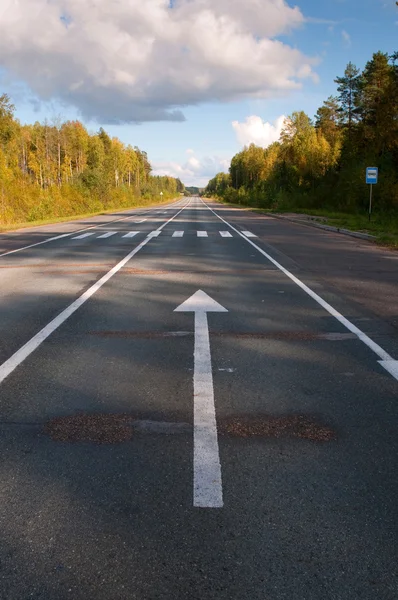 Camino en el bosque de Rusia Central — Foto de Stock