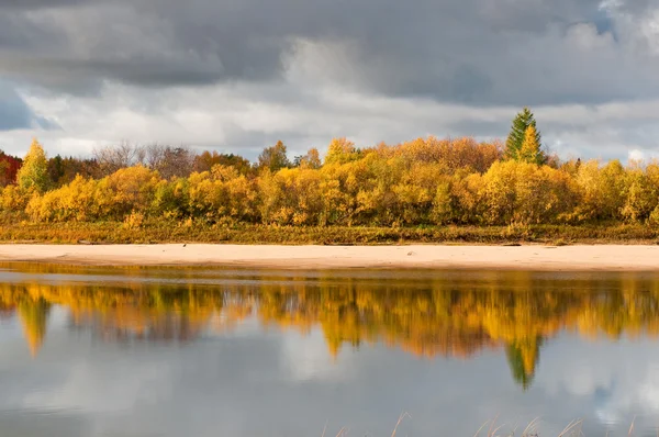 River in taiga (boreal forest) in Komi region — Stock Photo, Image