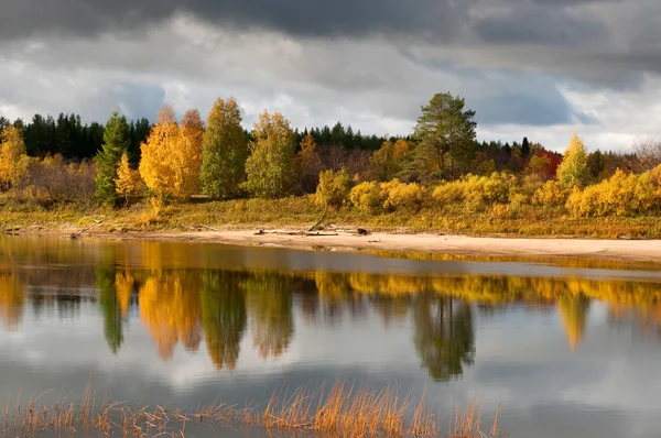 River in taiga (boreal forest) in Komi region — Stock Photo, Image