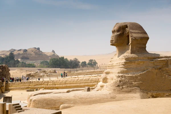 Antik staty av sphinx — Stockfoto