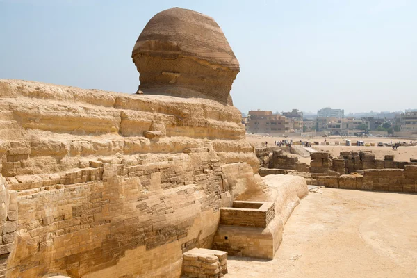 Antike Statue der Sphinx — Stockfoto